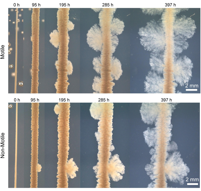 Figure 10