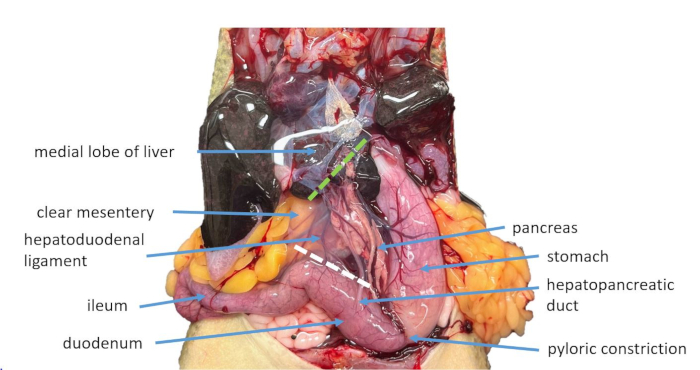 Figure 12