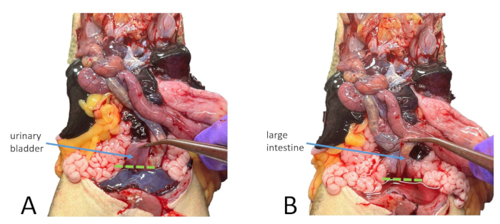 Figure 14