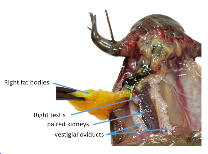 Figure 15