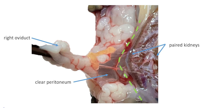 Figure 16