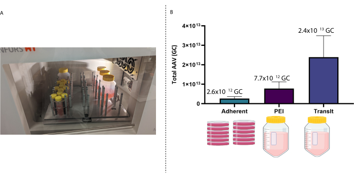 Figure 2