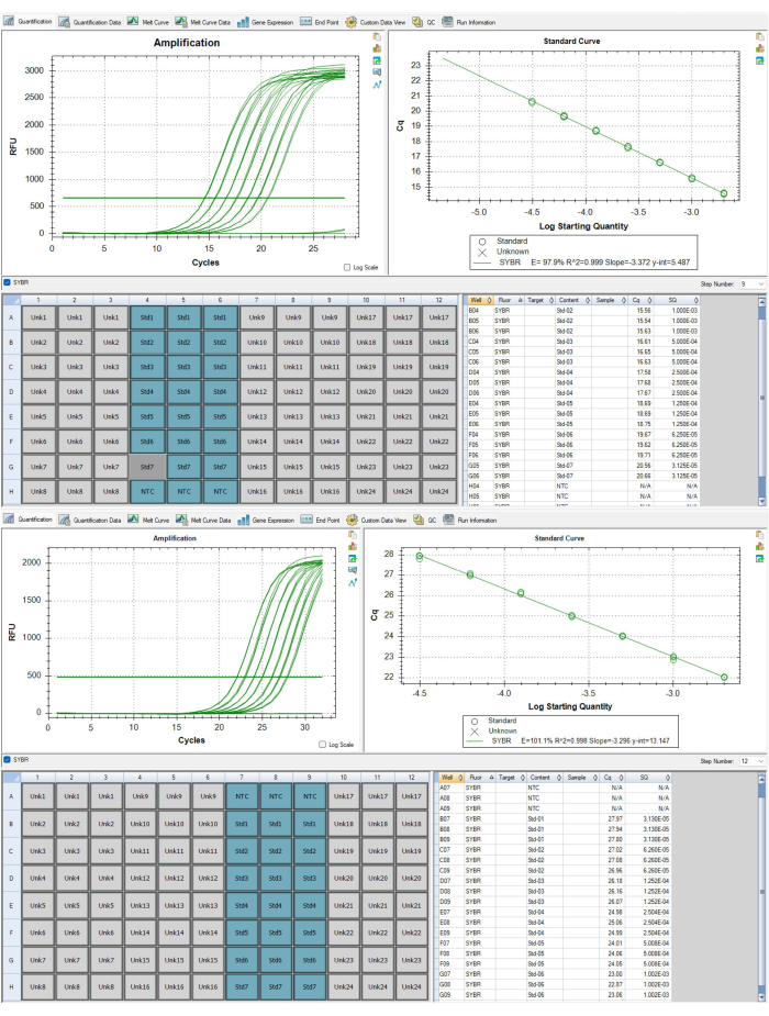 Figure 6