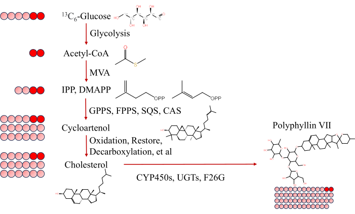 Figure 4