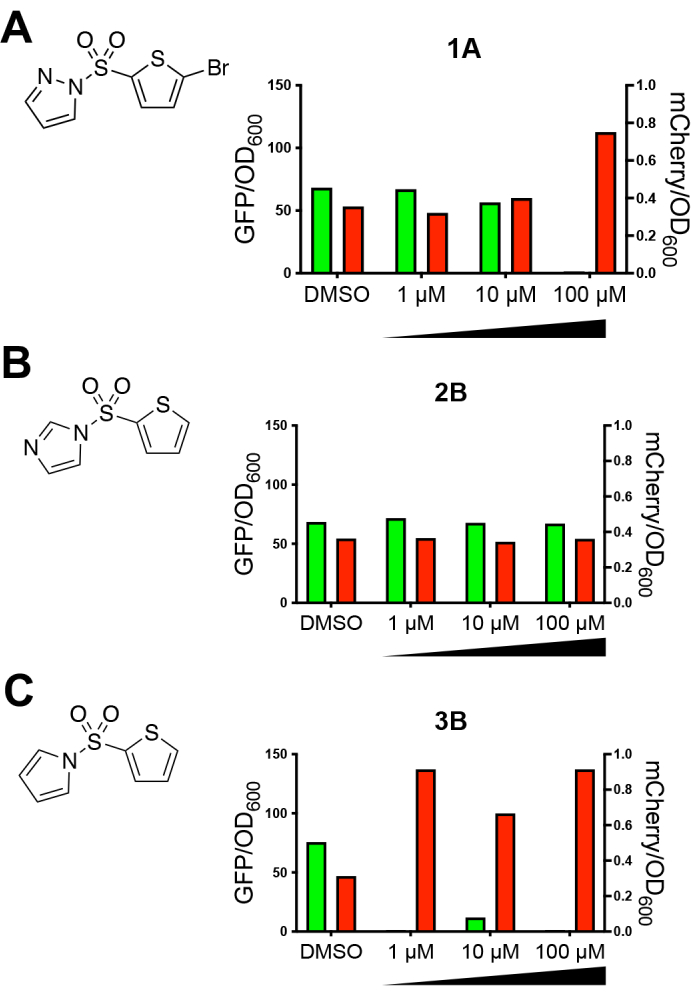 Figure 5