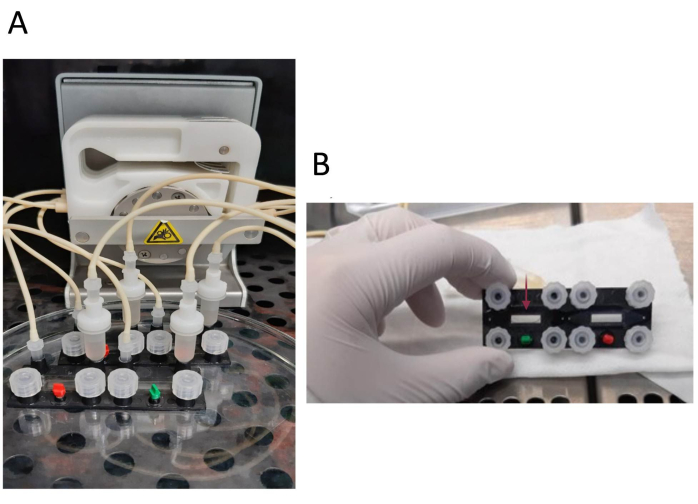 Figure 2