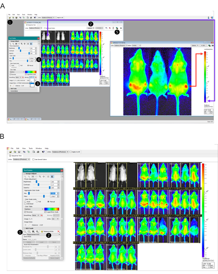 Figure 2