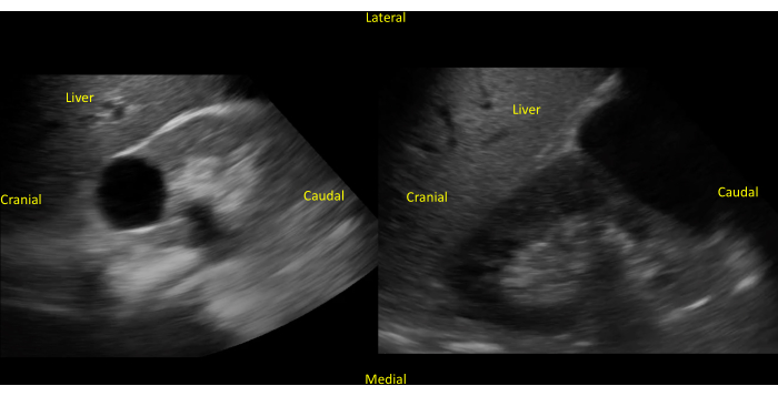 Figure 15