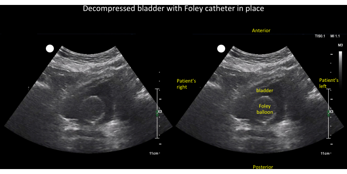 Figure 19