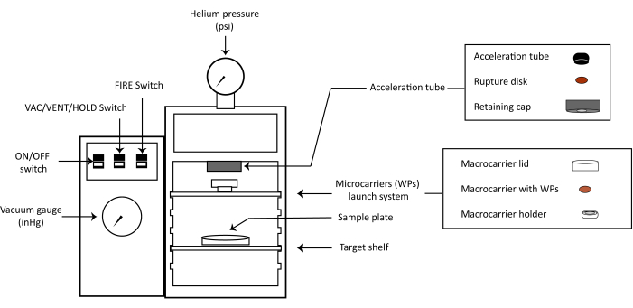 Figure 5