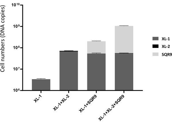 Figure 5