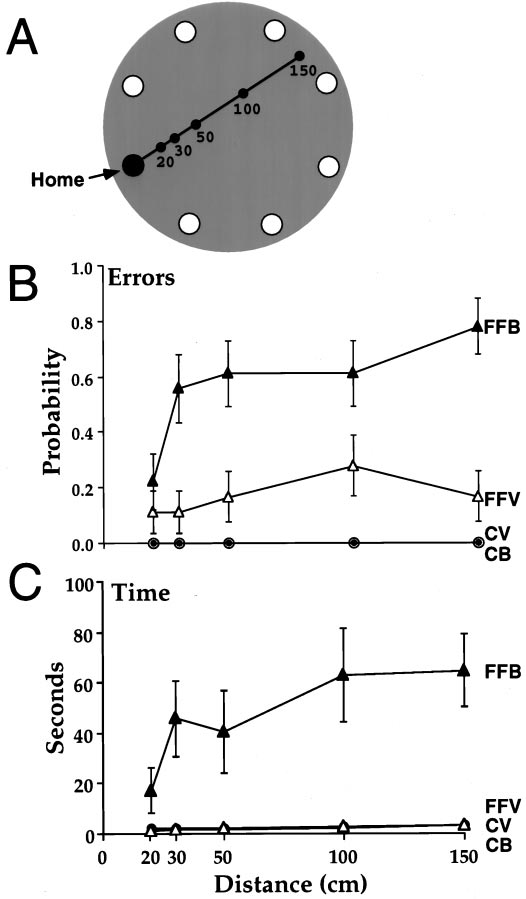 figure-protocol-4 figure-protocol-4