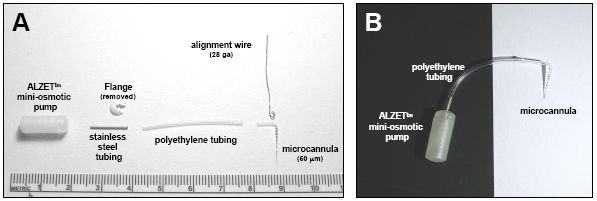 Assembly of the microinfusion system. (A) The components of the system placed in their relative positions for assembly. Note the flange from the flow modulater tubing has been broken away. We recommend the alignment wire be secured just before implantation (see text). (B) Assembled microinfusion system prior to attachment of alignment wire and implantation.