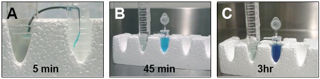 https://www.jove.com/files/716_2008_3_14_3/Figure4.JPG