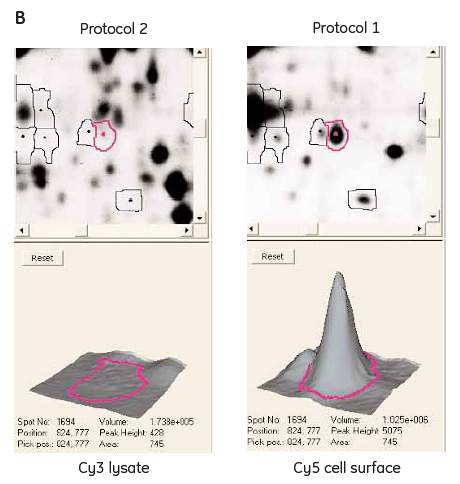 Figure 3.1